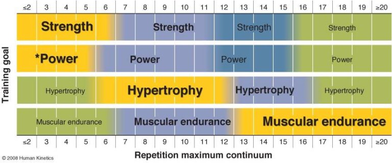 what-is-the-best-rep-range-for-muscle-strength-and-size